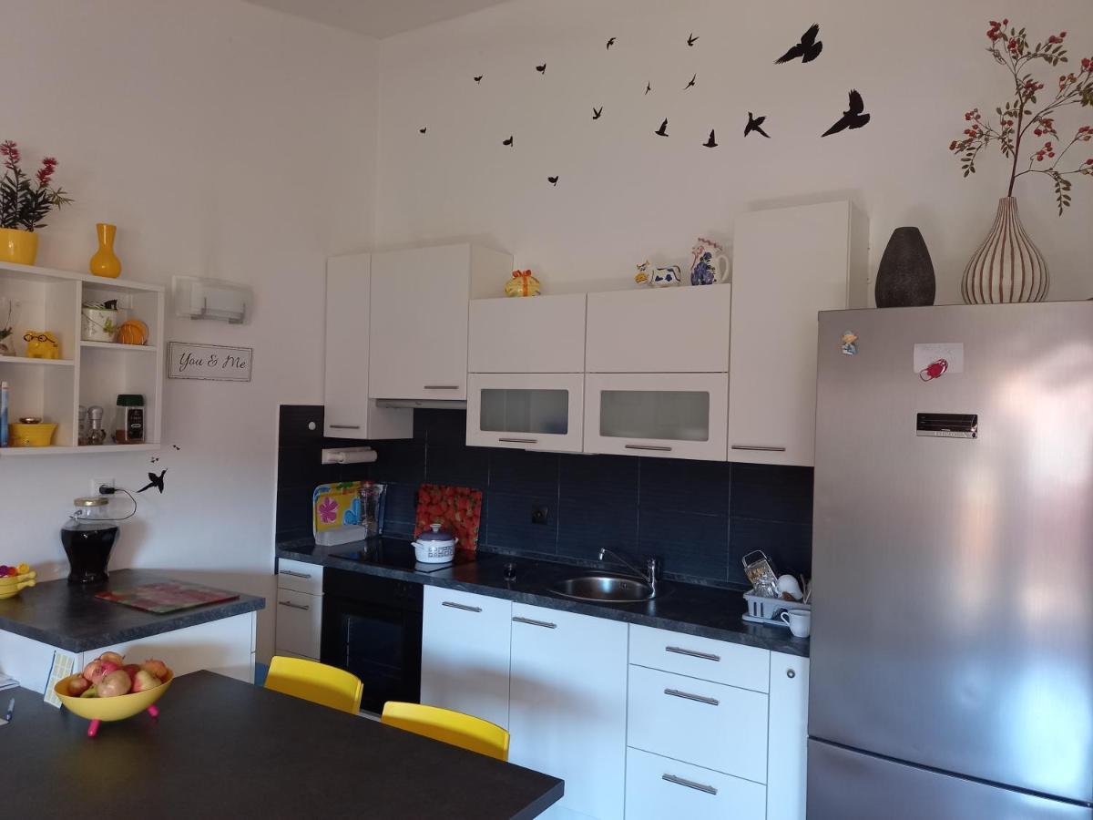 Apartman Silva Biograd Na Moru Zewnętrze zdjęcie
